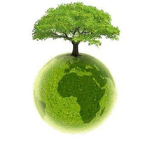 L'intelligence écologique dans l'entreprise L'intelligence écologique dans l'entreprise